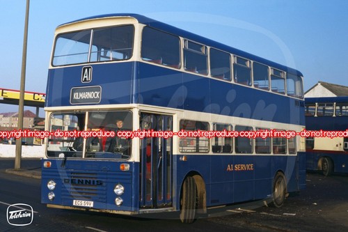 Bus photo a1 service - photo,