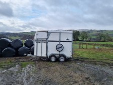 Bateson Deauville 55 Horse