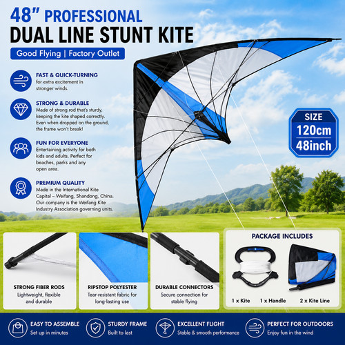 Yongjian large delta kite - yongjian,