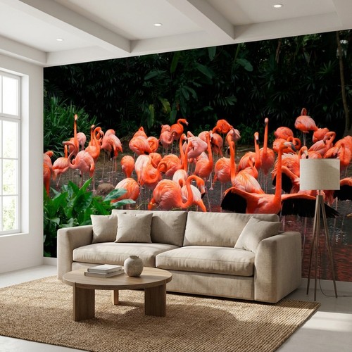 Flamingo photo mural - photo,