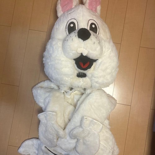 Rabbit mascot costume - rabbit,