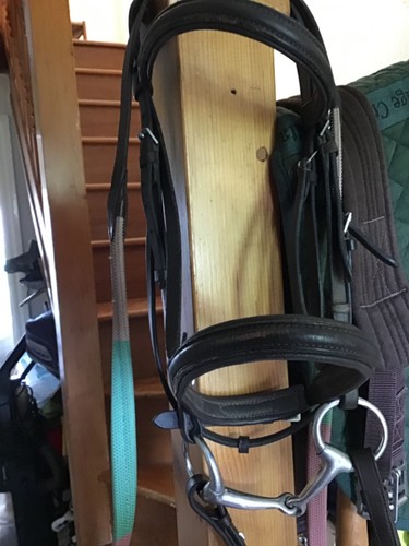 Leather pony bridle - , with