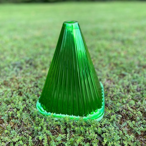 Plant cloche seedling - plant,
