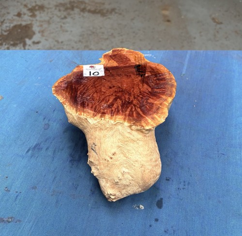Red mallee burl burr - red,
