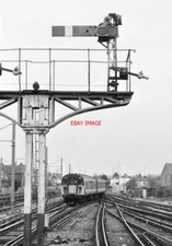 PHOTO  SIGNAL AND EMU BOGNOR