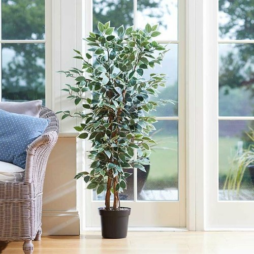 Faux fake weeping fig - weeping,