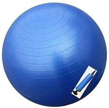 Anti-Burst Gym Ball 65cm-