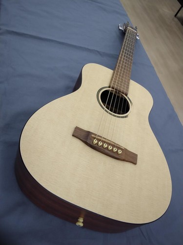 Martin lxm little - martin, mini