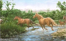 Wild Running Horses Mountain River Wildlife Nature Wallpaper Border 10.25" Wide