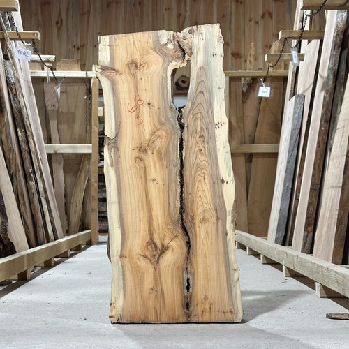 Yew plank board - waney, live