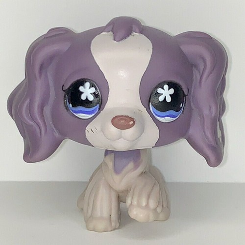 Purple white cocker spaniel - white,