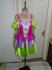 Fairy costume pantomime
