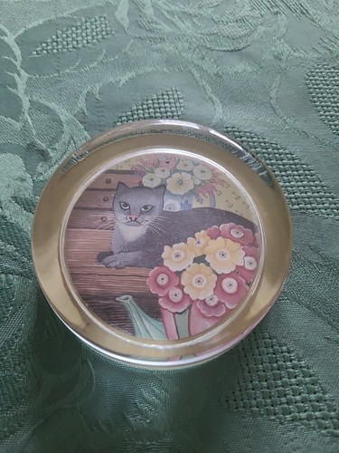 Sharon jervis black - sharon, cat
