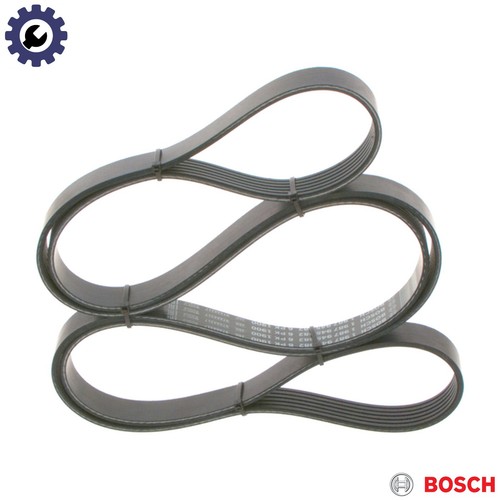 Vribbed belt 987 945 982 - vribbed,