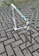 Beautiful COLNAGO ♣️ Steel