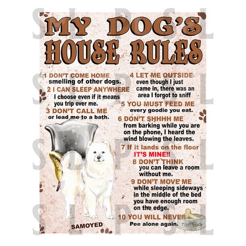 Dog house rules samoyed - my,
