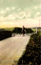 Fox Hunting Scene Vintage Postcard Posted 1907