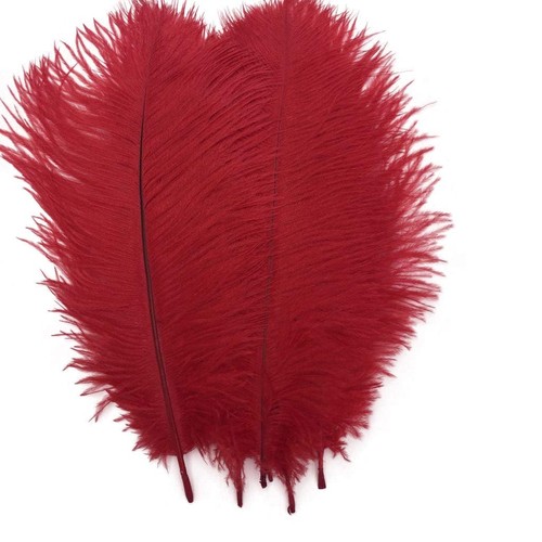 Pcs red ostrich feathers - pcs,