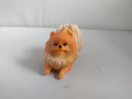 Cute pomeranian spitz samoyed - cute,