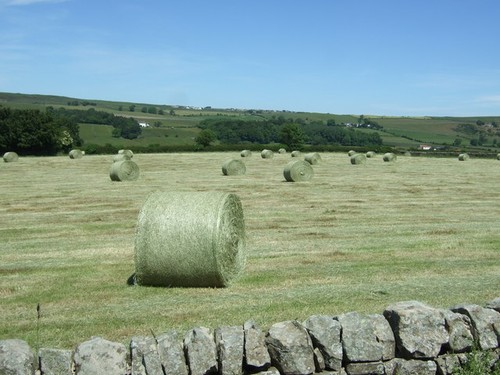 Photo 6x4 silage bales near - silage,