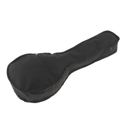 Mandolin case with for - with,