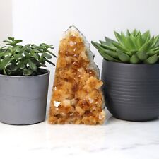 Incredible Citrine Geode Cluster Crystal Free standing free form 1.9kg
