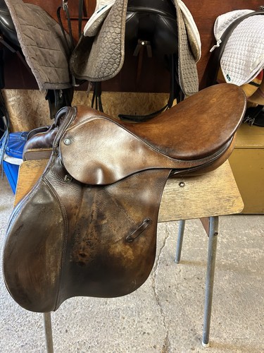 Stubben inch jump hunt - inch,