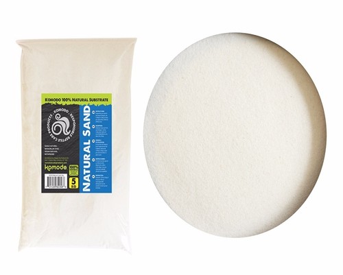 Komodo natural reptile fine - natural,