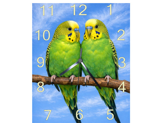 Budgie wall hanging clock - budgie,wall,