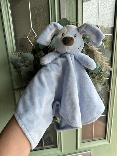 Early days blue dog puppy - early,