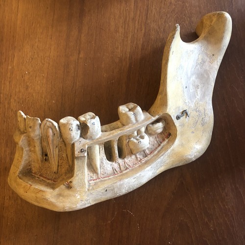 Antique 19th century model - antique, of