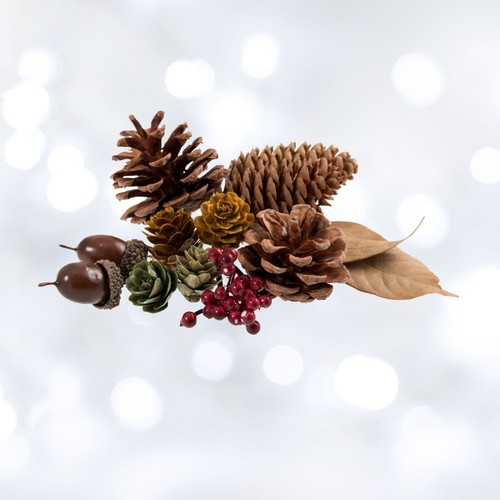 Natural mixed acorns pine - natural,