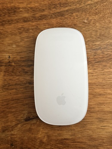 Genuine apple magic mouse - genuine,