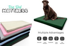 Dog Bed Cushion Orthopedic Pet Bed and Mattress Indoor Outdoor with Zipper Cover