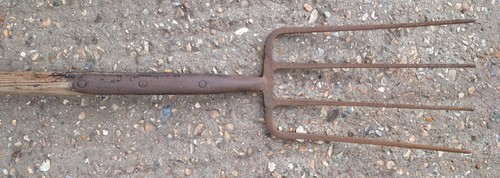 Antique vintage skelton - c, t