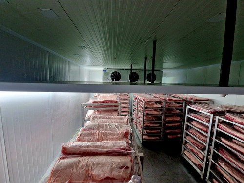 Blast freezer - freezer, chiller