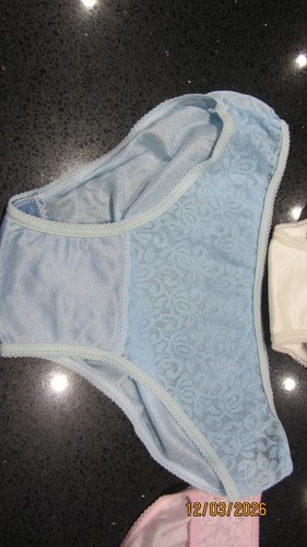 Vintage pair panties - ,