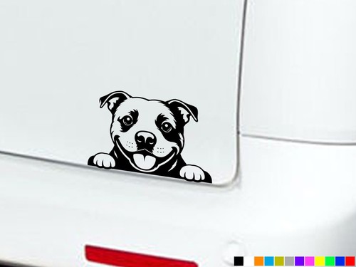 Peeking staffy dog eyes boot - dog,