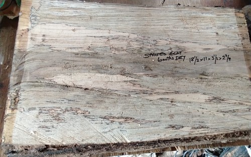 Spalted elm bowl blank - spalted,