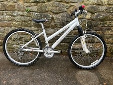 Ridgeback Destiny , 24" Wheel