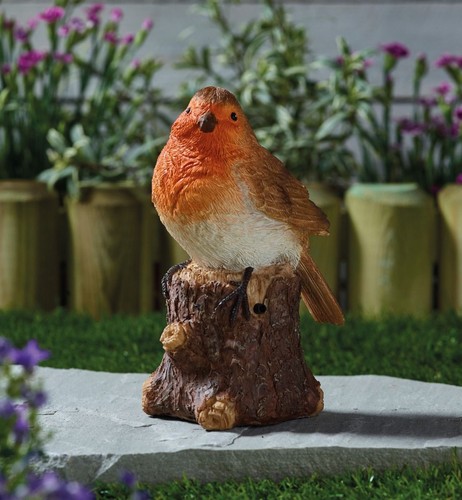 Robin song motion - song,, activated