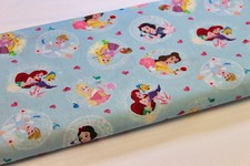 Disney Princess light blue