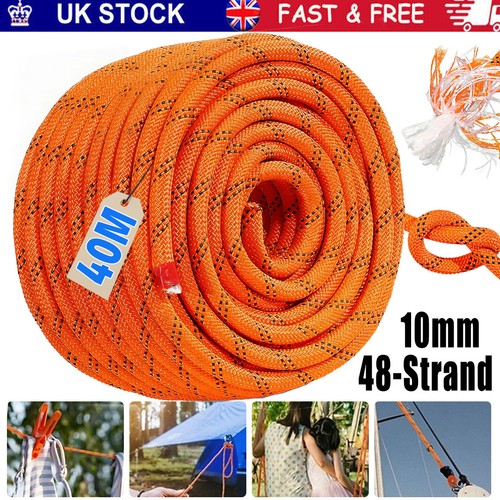 120 arborist tree - tree, climbing