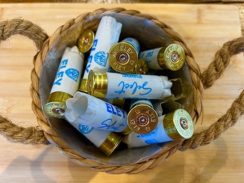 Spent shotgun cartridge - spent, cases