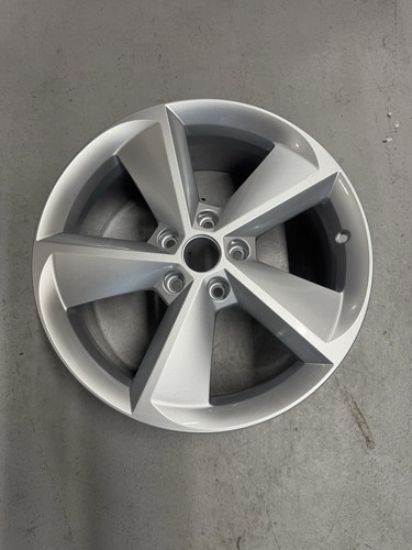 2013 2020 skoda octavia - 2013-2020,