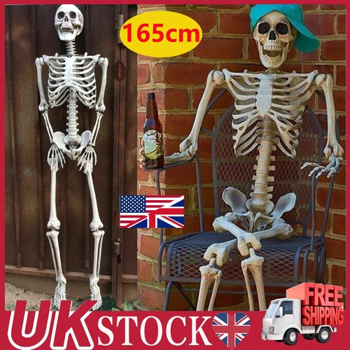 165cm full life - full,