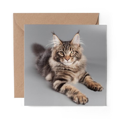 Blank greeting card cute - x,