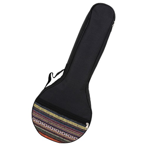 Portable banjo container - container, 26
