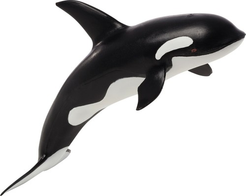 Animal planet mojo orca - planet, killer