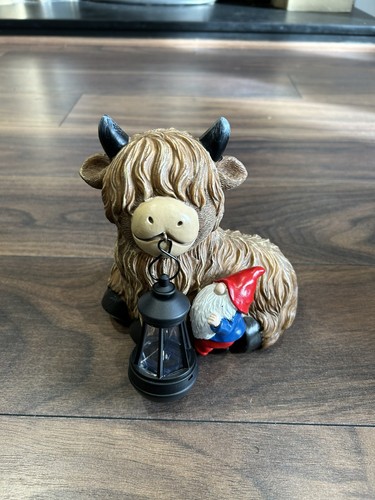 Solar highland cow outdoor - highland,
